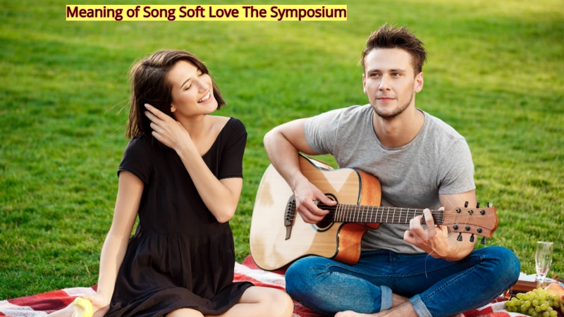 Meaning of Song Soft Love The Symposium